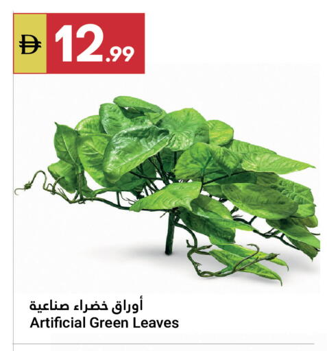 available at Grand Emirates Market in UAE - Abu Dhabi