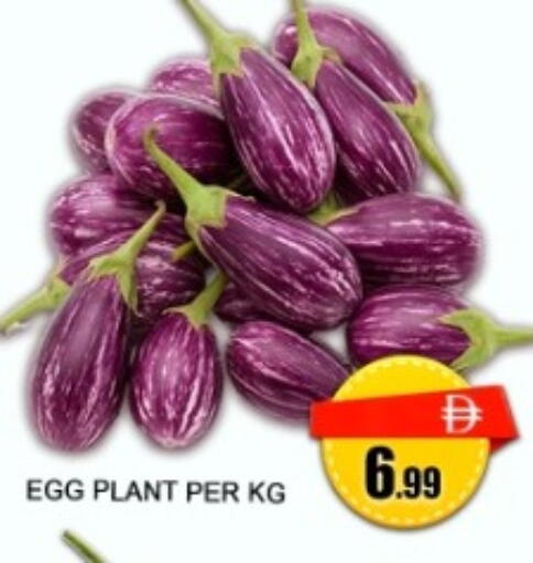 available at جرين جيفت متجر أقسام in الإمارات العربية المتحدة , الامارات - دبي