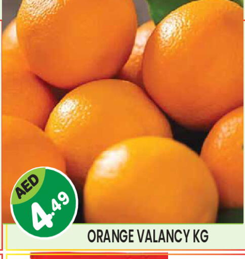 Orange available at سنابل بني ياس in الإمارات العربية المتحدة , الامارات - ٱلْعَيْن‎