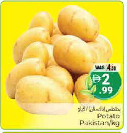 Potato from Pakistan available at هايبر ماركت باسونز in الإمارات العربية المتحدة , الامارات - ٱلْعَيْن‎