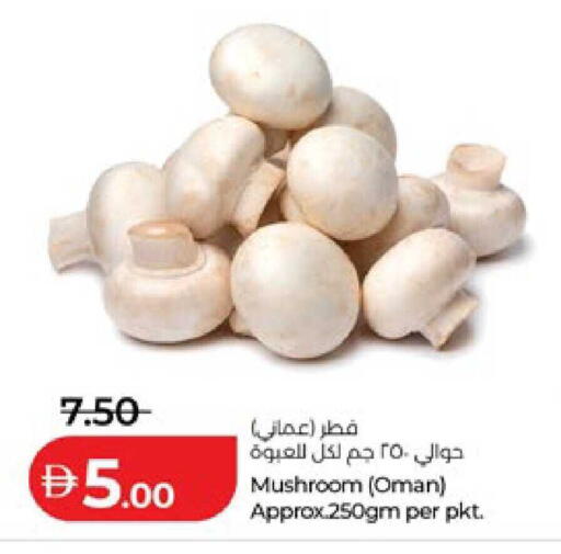 Mushroom from Oman available at لولو هايبرماركت in الإمارات العربية المتحدة , الامارات - ٱلْعَيْن‎