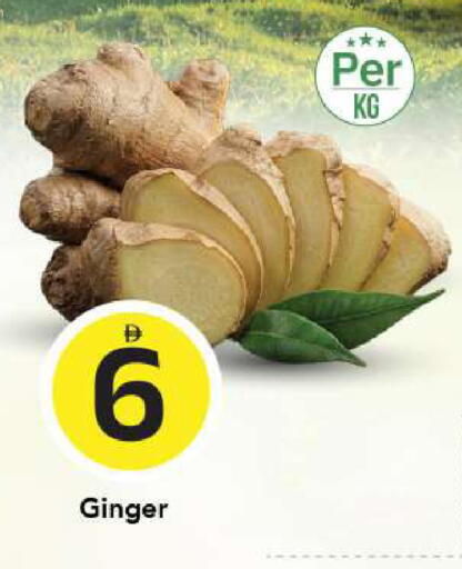 Ginger available at مارك & سيف in الإمارات العربية المتحدة , الامارات - الشارقة / عجمان