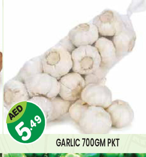 Garlic available at سنابل بني ياس in الإمارات العربية المتحدة , الامارات - ٱلْعَيْن‎