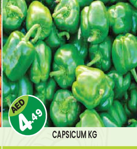 Capsicum available at سنابل بني ياس in الإمارات العربية المتحدة , الامارات - ٱلْعَيْن‎
