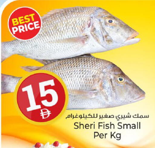 available at كنز هايبرماركت in الإمارات العربية المتحدة , الامارات - الشارقة / عجمان