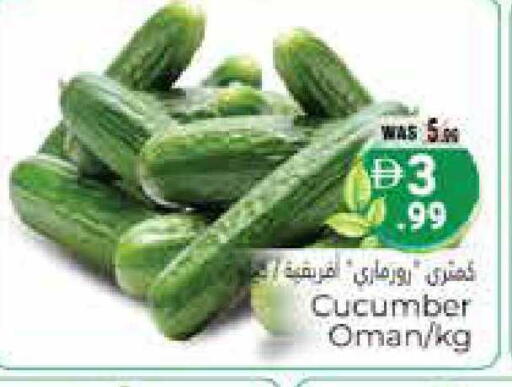 Cucumber from Oman available at هايبر ماركت باسونز in الإمارات العربية المتحدة , الامارات - ٱلْعَيْن‎