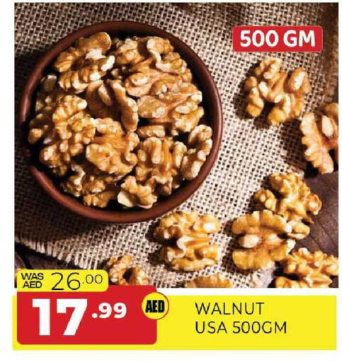 available at المدينة in الإمارات العربية المتحدة , الامارات - الشارقة / عجمان