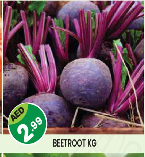 Beetroot available at سنابل بني ياس in الإمارات العربية المتحدة , الامارات - ٱلْعَيْن‎