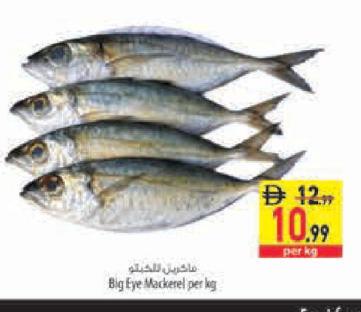 available at السفير ماركت in الإمارات العربية المتحدة , الامارات - رَأْس ٱلْخَيْمَة