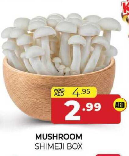 Mushroom available at المدينة in الإمارات العربية المتحدة , الامارات - الشارقة / عجمان
