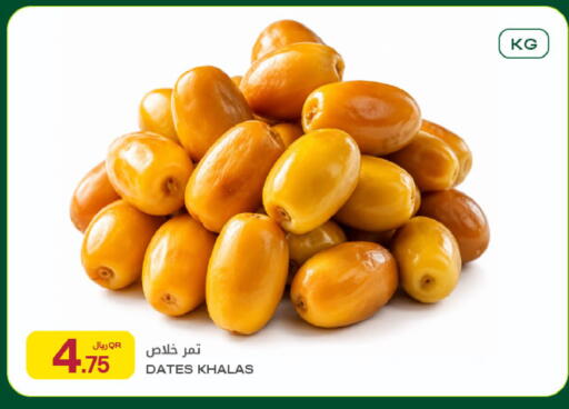 available at شركة الميرة للمواد الاستهلاكية in قطر - الريان