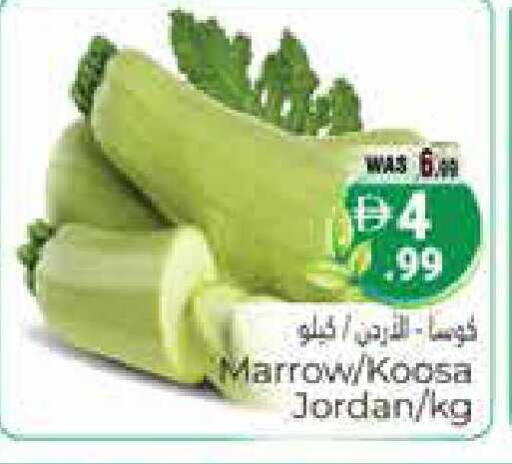 Marrow from Jordan available at هايبر ماركت باسونز in الإمارات العربية المتحدة , الامارات - ٱلْعَيْن‎