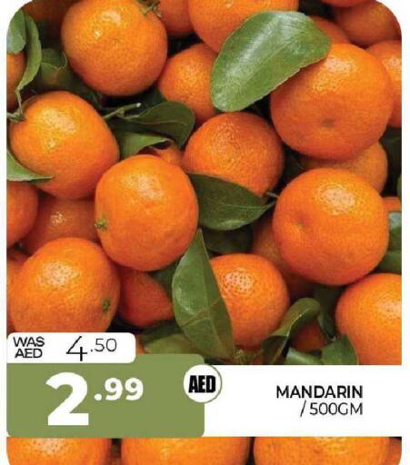 Mandarin available at المدينة in الإمارات العربية المتحدة , الامارات - الشارقة / عجمان