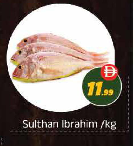 available at ايكو مول & ايكو هايبرماركت in الإمارات العربية المتحدة , الامارات - ٱلْعَيْن‎
