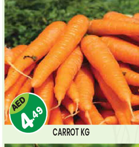 Carrot available at سنابل بني ياس in الإمارات العربية المتحدة , الامارات - ٱلْعَيْن‎