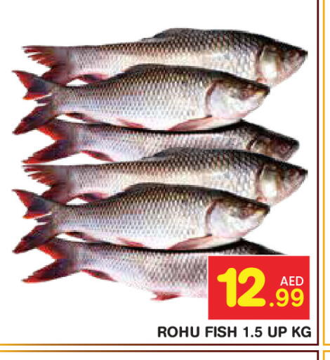 available at سنابل بني ياس in الإمارات العربية المتحدة , الامارات - ٱلْعَيْن‎