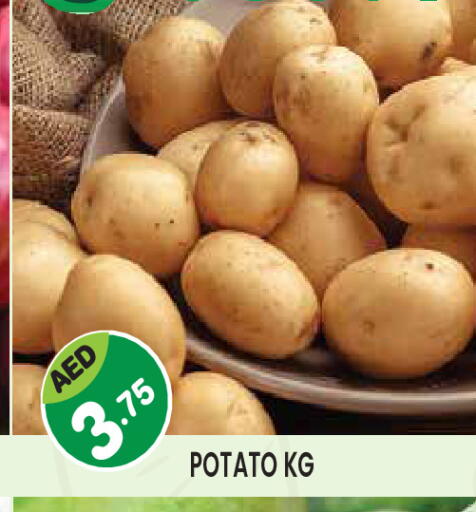 Potato available at سنابل بني ياس in الإمارات العربية المتحدة , الامارات - ٱلْعَيْن‎