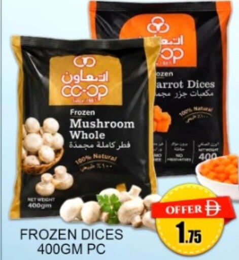 Mushroom available at جرين جيفت متجر أقسام in الإمارات العربية المتحدة , الامارات - دبي