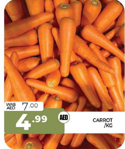 Carrot available at المدينة in الإمارات العربية المتحدة , الامارات - الشارقة / عجمان