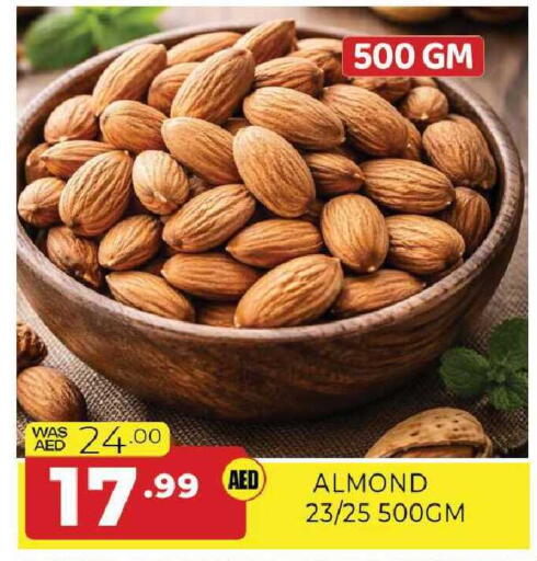 available at المدينة in الإمارات العربية المتحدة , الامارات - الشارقة / عجمان
