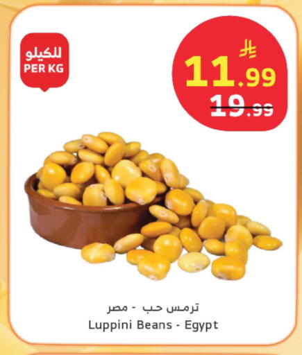 available at الراية in مملكة العربية السعودية, السعودية, سعودية - الباحة