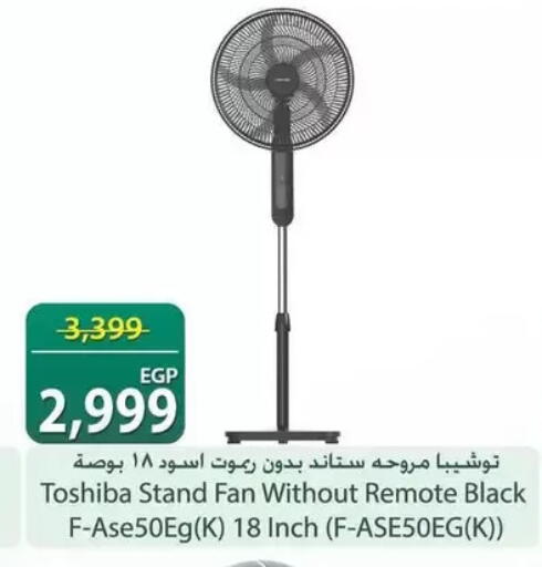 available at سبينس in Egypt - القاهرة