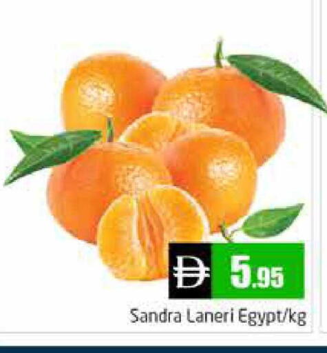 from Egypt available at هايبر ماركت باسونز in الإمارات العربية المتحدة , الامارات - دبي