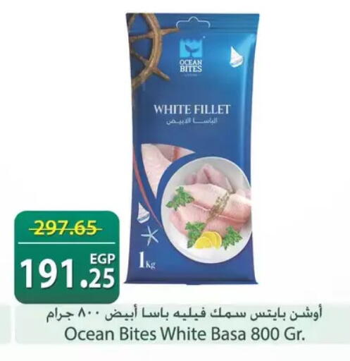 available at سبينس in Egypt - القاهرة