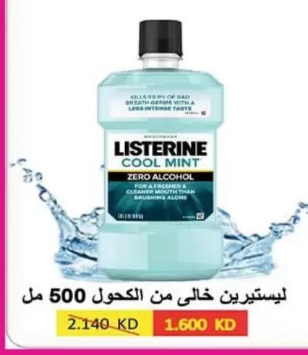 Mint available at  جمعية مبارك الكبير والقرين التعاونية in الكويت - مدينة الكويت