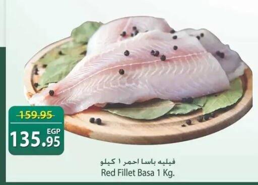 available at سبينس in Egypt - القاهرة