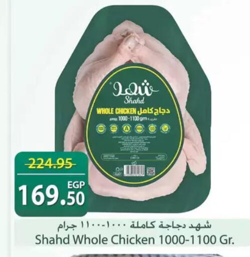 available at سبينس in Egypt - القاهرة