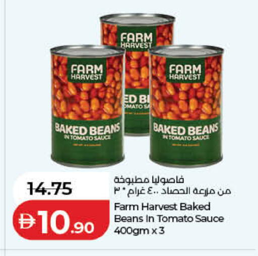 Tomato available at Lulu Hypermarket in UAE - Fujairah