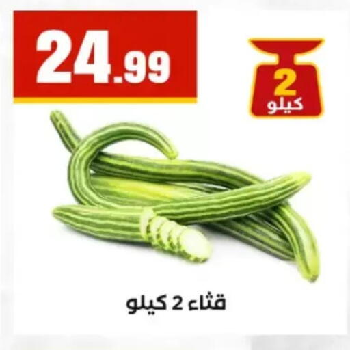 available at مارت فيل in Egypt - القاهرة