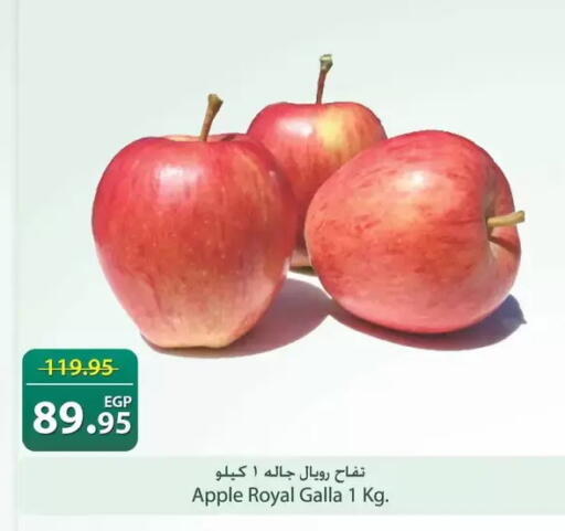 Apple available at سبينس in Egypt - القاهرة