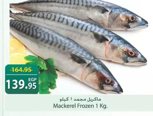 available at سبينس in Egypt - القاهرة