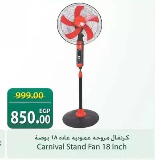 available at سبينس in Egypt - القاهرة