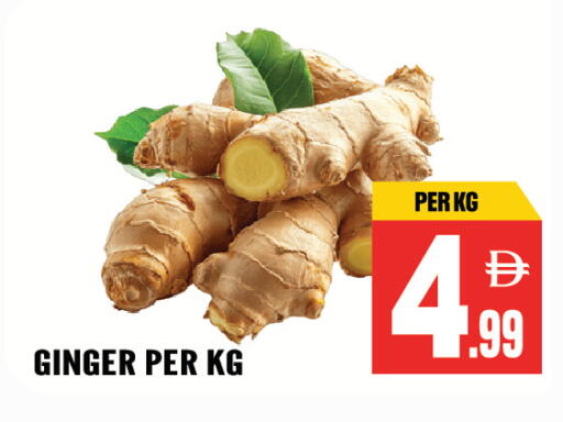Ginger available at دريم لاند in الإمارات العربية المتحدة , الامارات - الشارقة / عجمان