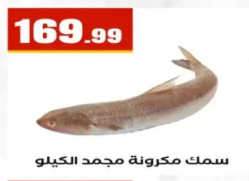 available at مارت فيل in Egypt - القاهرة
