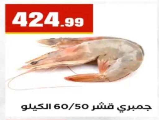 available at مارت فيل in Egypt - القاهرة