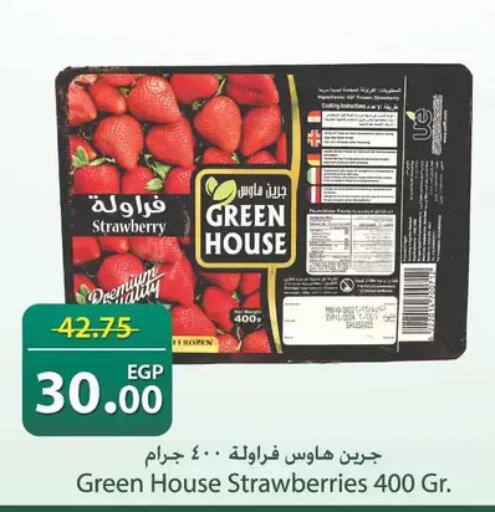 Strawberry available at سبينس in Egypt - القاهرة