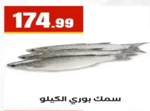 available at مارت فيل in Egypt - القاهرة
