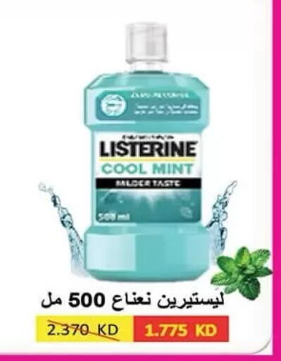 Mint available at  جمعية مبارك الكبير والقرين التعاونية in الكويت - مدينة الكويت