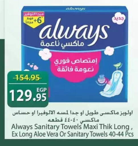 available at سبينس in Egypt - القاهرة