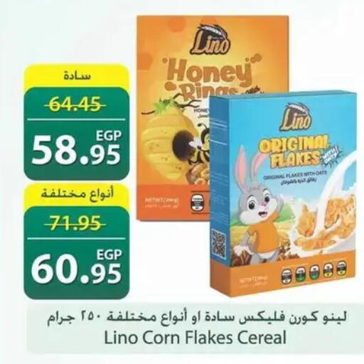available at سبينس in Egypt - القاهرة
