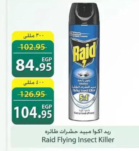 available at سبينس in Egypt - القاهرة