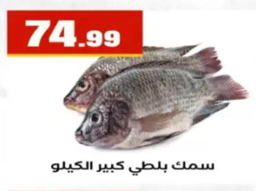 available at مارت فيل in Egypt - القاهرة
