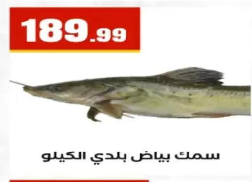 available at مارت فيل in Egypt - القاهرة