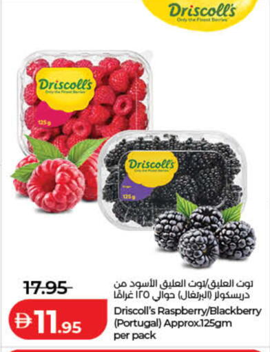 Raspberry Blackberry from Portugal available at Lulu Hypermarket in UAE - Fujairah