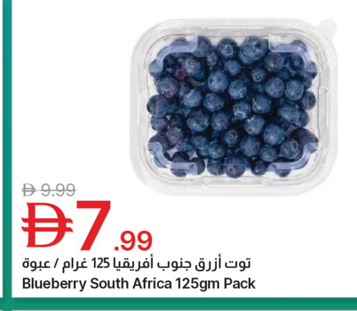 Blueberry BlueBerry from South Africa available at جمعية الامارات التعاونية in الإمارات العربية المتحدة , الامارات - دبي