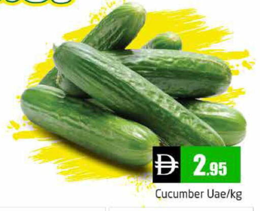 Cucumber available at هايبر ماركت باسونز in الإمارات العربية المتحدة , الامارات - دبي